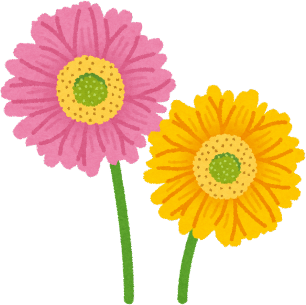 Illustration of Pink and Yellow Gerbera Daisies