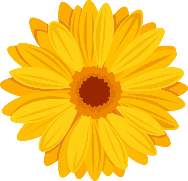 Yellow gerbera flower